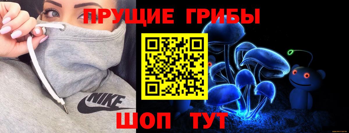 что такое наркотик  Псилоцибиновые грибы ЛСД  Мытищи  Вход с VPN  Псилоцибиновые грибы Cubensis 